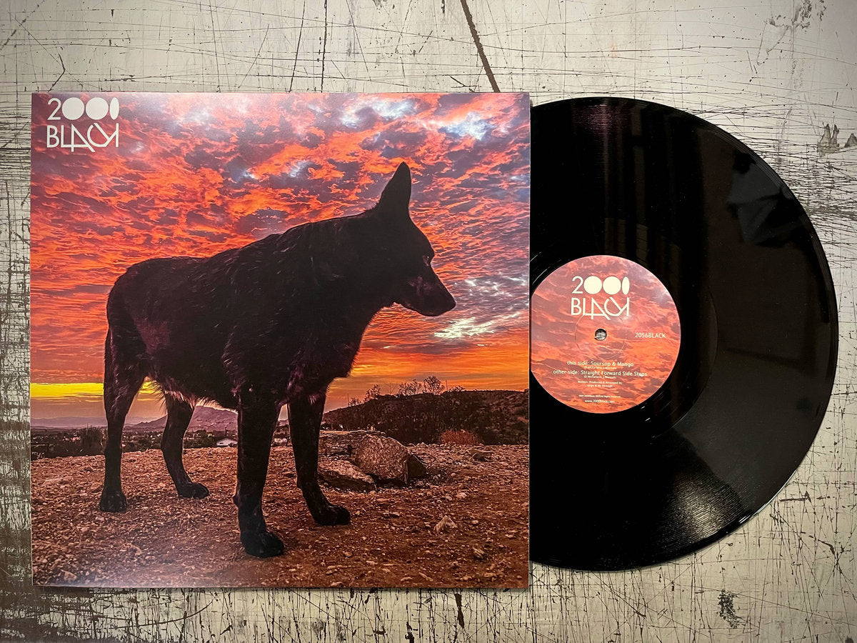 Vinilo 12" 2000 Black – Soursop & Mango con funda frontal colorida y etiqueta central mostrando logo y créditos básicos del sello.