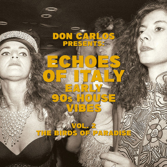 Portada delantera del vinilo Don Carlos – Echoes Of Italy (Vol. 2) publicado por Jungle Fantasy Records. Texto impreso: Don Carlos presenta Echoes Of Italy – Early 90s House Vibes Vol. 2 The Birds Of Paradise.