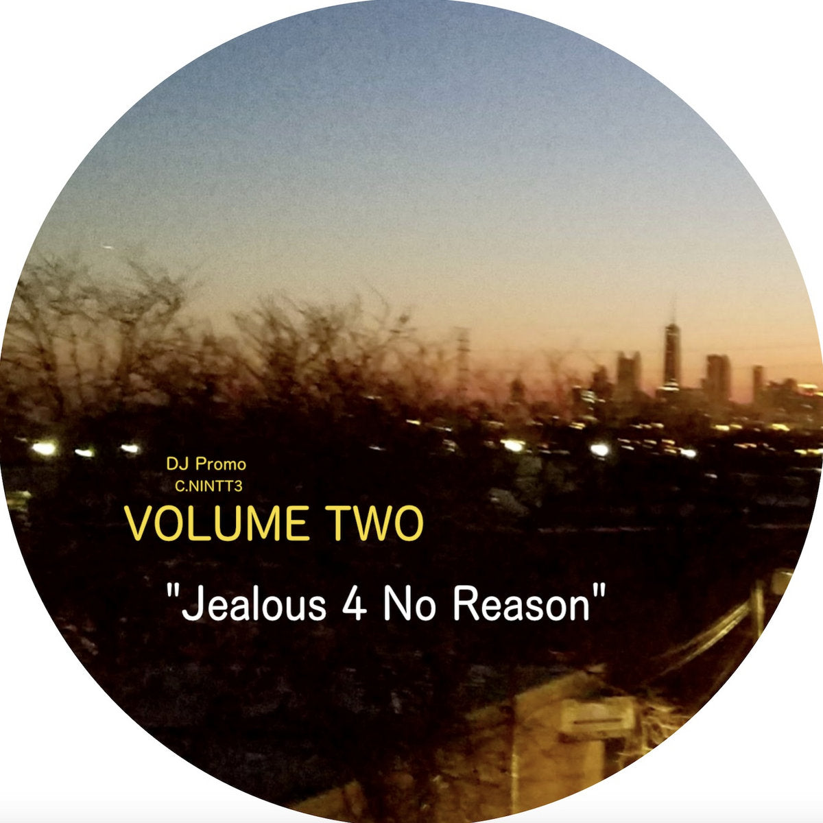 Lado C del vinilo Rahaan – Edits & Remixes Inspired By The Golden Age Of Chicago's Club Culture (Volume 2), destaca la pista “Jealous 4 No Reason” con vista urbana al fondo.