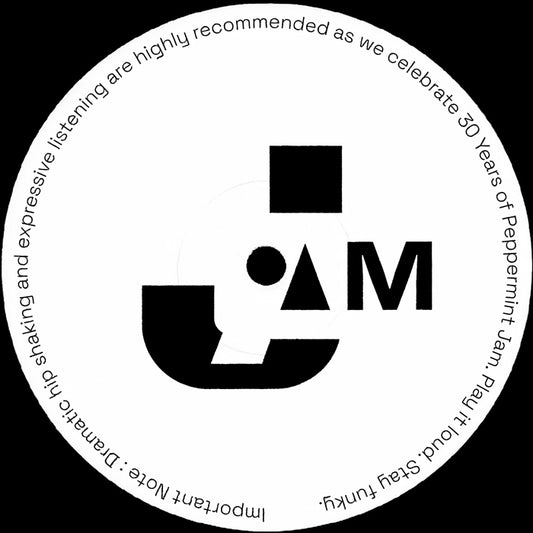 Lado B del vinilo T-Ski Valley – Catch The Beat, etiqueta minimalista Peppermint Jam con logo y recomendación para DJs.