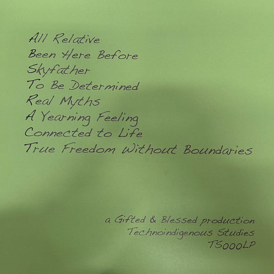 Contraportada del vinilo The Abstract Eye – You Can't Unsee Me, publicado por Technoindigenous Studies en formato 2xLP. Incluye la lista de canciones y créditos de producción en fondo verde.