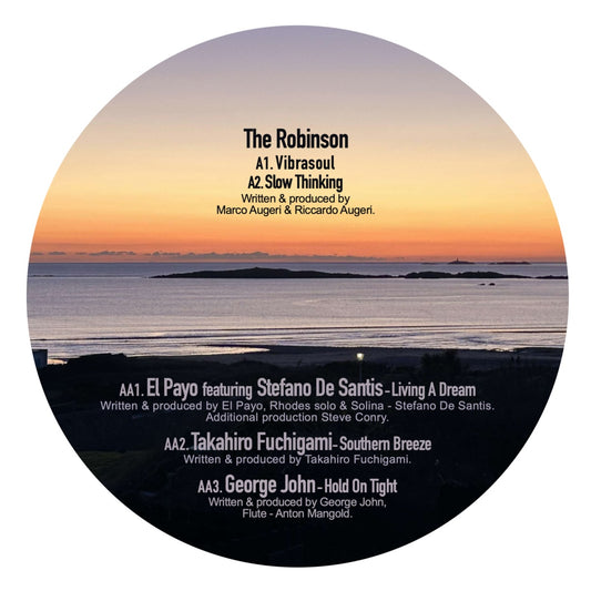 Etiqueta central lado B del vinilo Varios Artistas – Best Of Various en Ten Lovers Music 12", con listado de pistas, artistas invitados y créditos visibles sobre paisaje al atardecer.