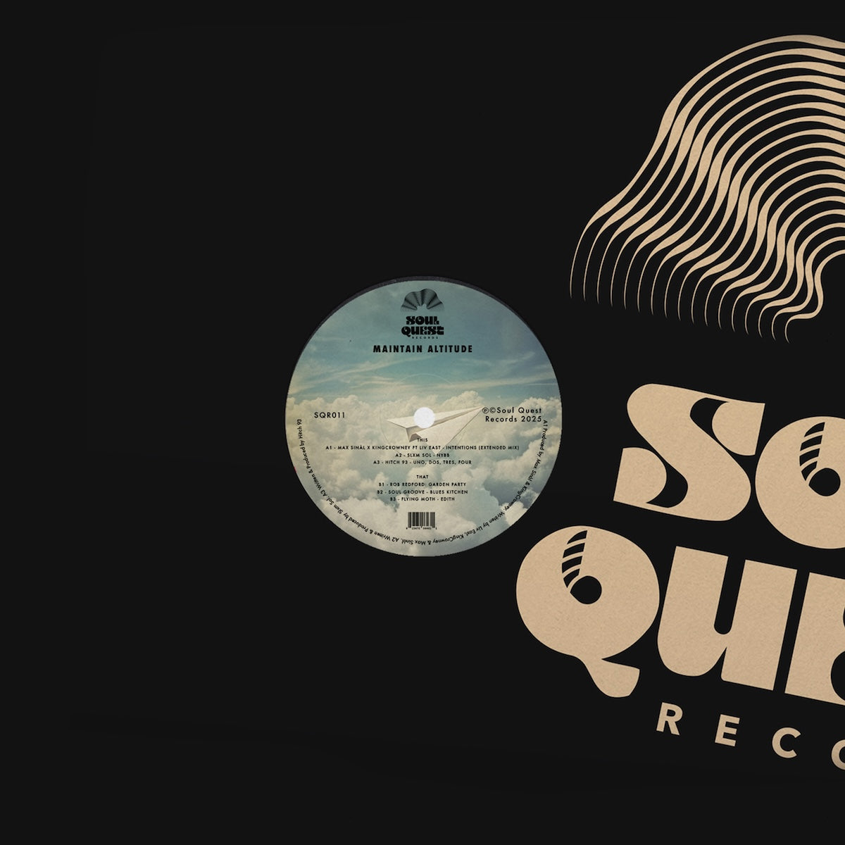 Vinilo 12" de Varios Artistas – Maintain Altitude con portada retro: cielo azul, nubes y avión de papel.