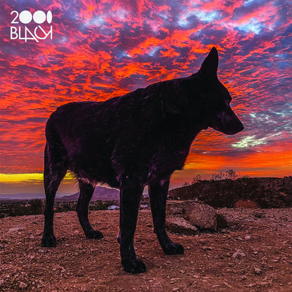Portada del vinilo 12" 2000 Black – Soursop & Mango con un perro negro en silueta frente a un cielo rojo intenso al atardecer.