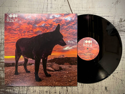 Vinilo 12" 2000 Black – Soursop & Mango con funda frontal colorida y etiqueta central mostrando logo y créditos básicos del sello.