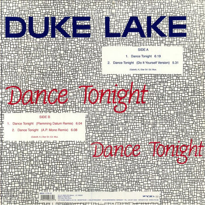 Contraportada del vinilo Duke Lake – Dance Tonight de ZYX Music, mostrando lista de pistas, versiones remix y créditos sobre el característico patrón cuadriculado.