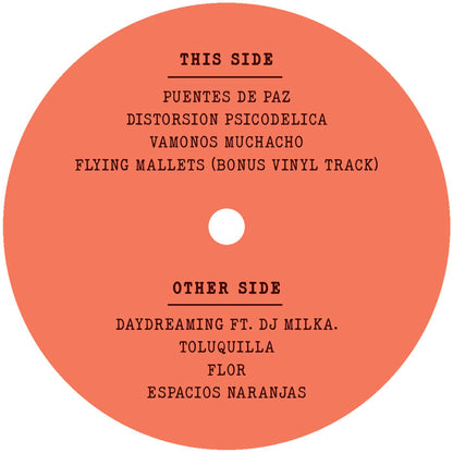 Lado B del vinilo Durango 95 – Vámonos Muchacho LP Álbum: etiqueta central naranja con Other Side y temas como Daydreaming ft. DJ Milka.