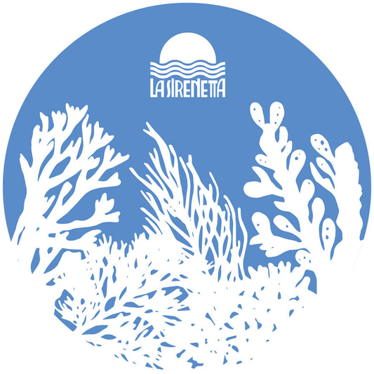Etiqueta lado B vinilo 12" F.lli Paradiso – Quella è Una Bambola con duración 6:38, 124 BPM y diseño coral blanco sobre azul.