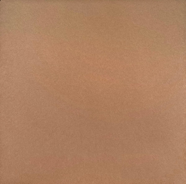 Contraportada del vinilo Future Jazz Ensemble – Rough Time EP de Ten Lovers Music, 12", EP, mostrando una funda marrón lisa sin textos ni ilustraciones, estilo sobrio y clásico de prensado independiente.