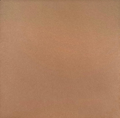 Contraportada del vinilo Future Jazz Ensemble – Rough Time EP de Ten Lovers Music, 12", EP, mostrando una funda marrón lisa sin textos ni ilustraciones, estilo sobrio y clásico de prensado independiente.