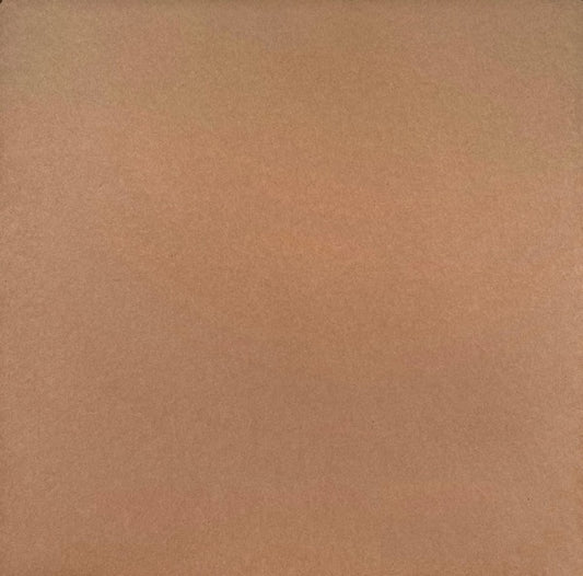 Contraportada del vinilo Future Jazz Ensemble – Rough Time EP de Ten Lovers Music, 12", EP, mostrando una funda marrón lisa sin textos ni ilustraciones, estilo sobrio y clásico de prensado independiente.