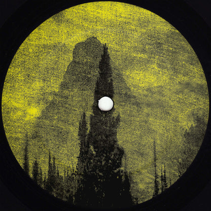 Etiqueta del lado B del vinilo Lake Haze – Geonomic Fusion [12"] con arte visual atmosférico en tonos amarillo y negro, sin texto visible.