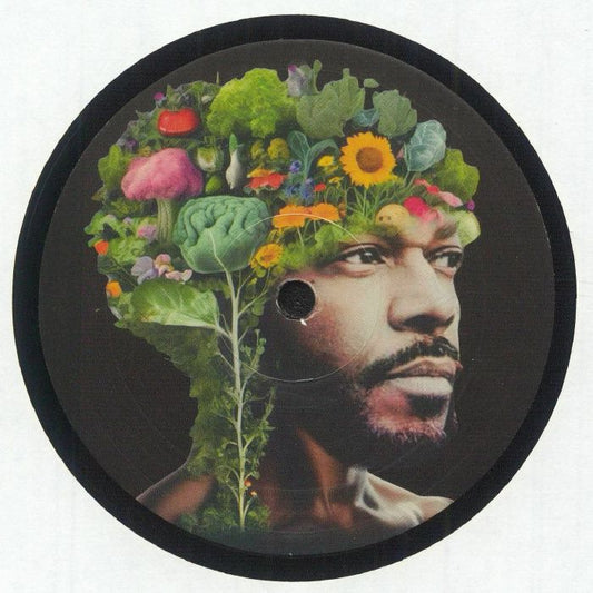 Portada delantera del vinilo Osunlade – Prism, lanzado por R2 Records en formato 12". Diseño artístico con un retrato y elementos naturales.