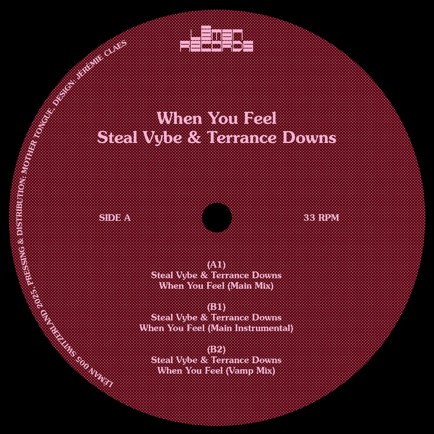 Lado A del vinilo Steal Vybe & Terrance Downs – When You Feel en 12" Leman Records, etiqueta roja con tracklist y créditos visibles.