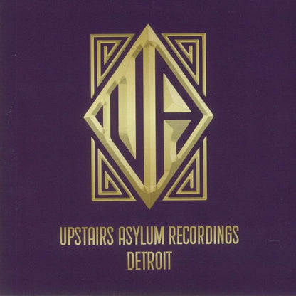 Portada del vinilo 7" Steve Crawford – Arctic Vibration con logo dorado de Upstairs Asylum Recordings sobre fondo púrpura.