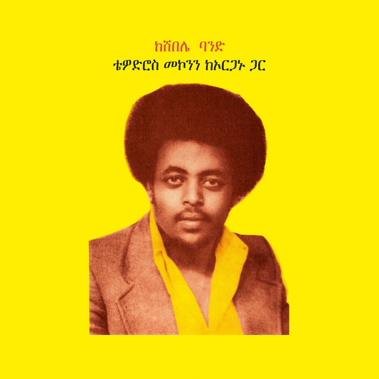 Portada del vinilo Teodros Makonnen – Teodros Makonnen With His Organ, retrato sobre fondo amarillo.