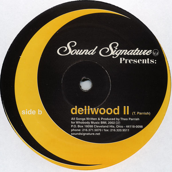 Lado B del vinilo Theo Parrish – Solitary Flight 12" en Sound Signature, label negra con arco dorado, “Dellwood II”, créditos impresos y referencia SS016.