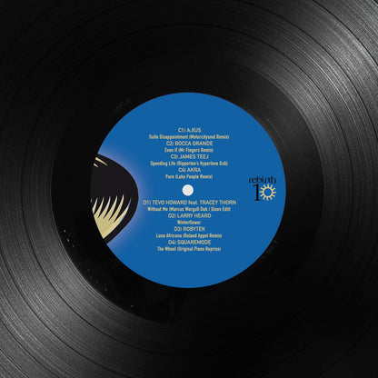 Imagen del segundo vinilo de Varios Artistas – Rebirth 10 Selected by Larry Heard aka Mr. Fingers, edición 2×LP con arte minimalista y tono azul claro del sello Rebirth.