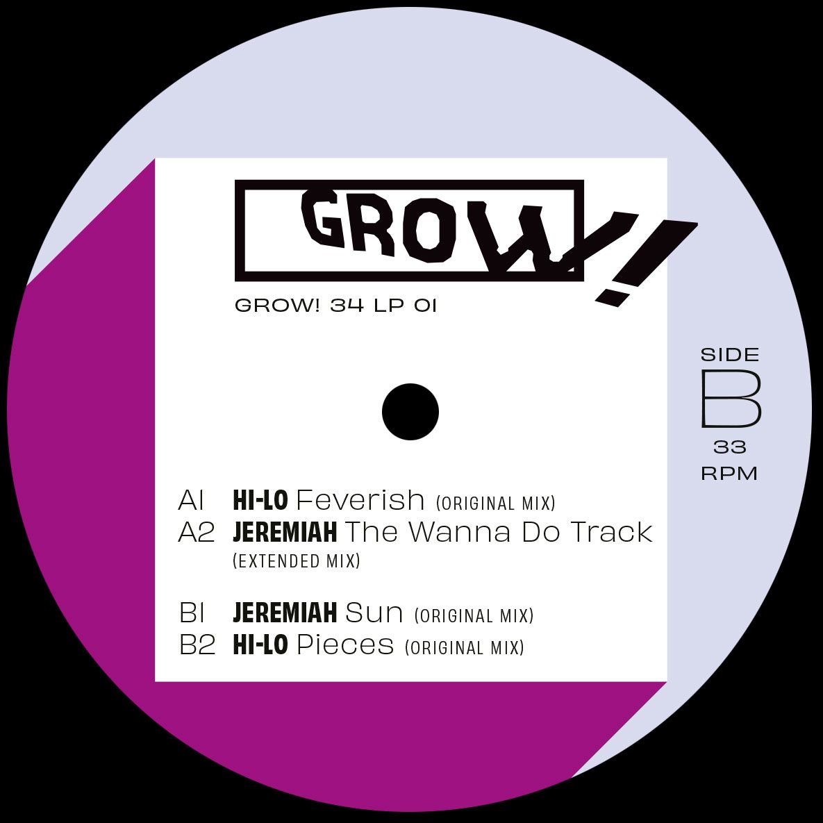 Lado B de vinilo Varios Artistas – Grow! For It con tracks A1 a B2 listados en etiqueta blanca y logo Grow!.