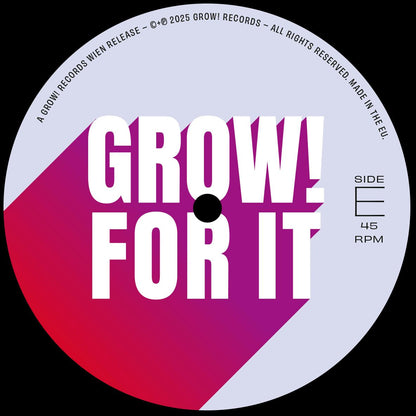 Lado E de vinilo Varios Artistas – Grow! For It con etiqueta central rosa, indica Side E y velocidad 45 RPM.