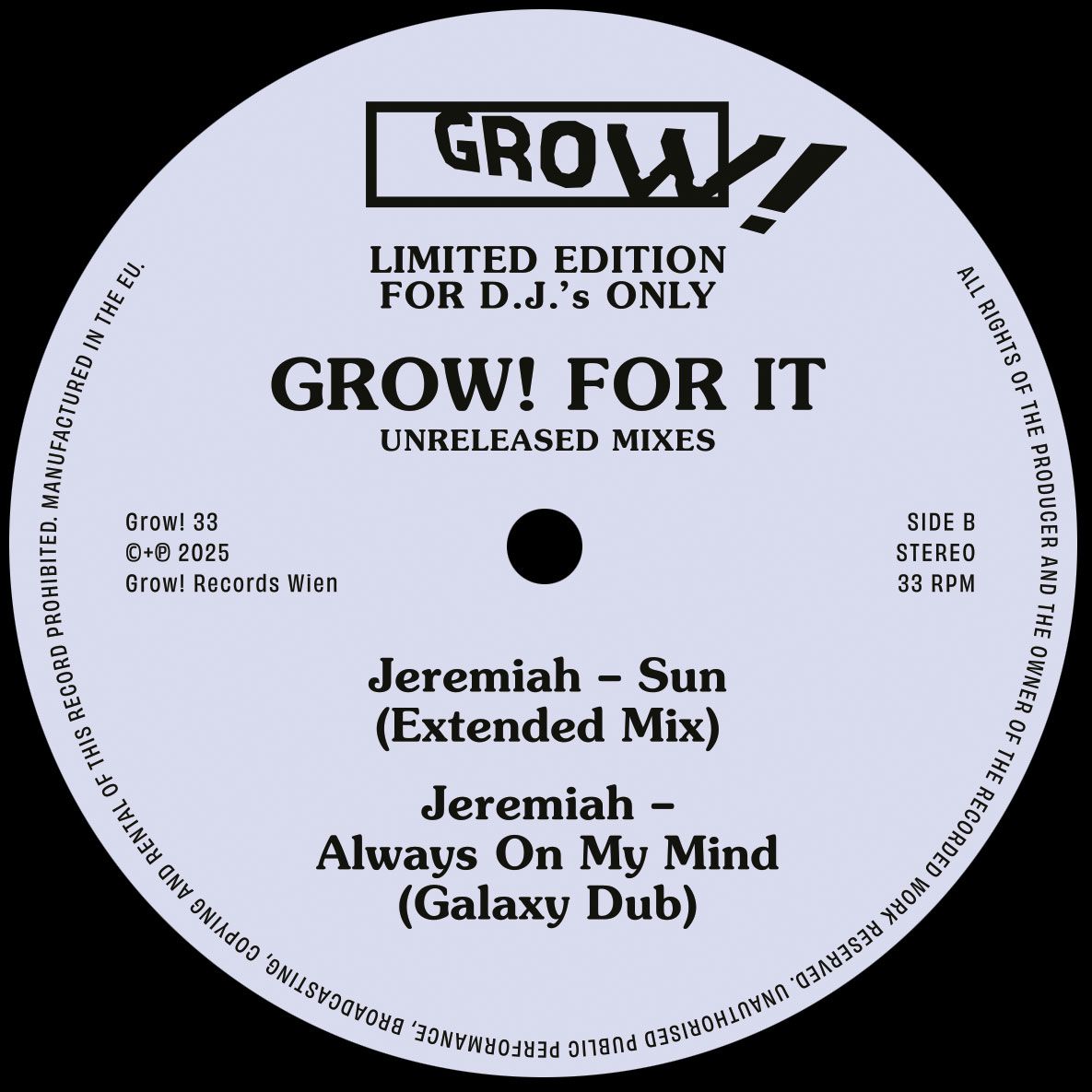 Lado B de vinilo Varios Artistas – Grow! For It (Unreleased Mixes), etiqueta central con temas Sun Extended Mix y Always On My Mind Galaxy Dub, sello Grow! 12" EP.