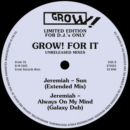 Lado B de vinilo Varios Artistas – Grow! For It (Unreleased Mixes), etiqueta central con temas Sun Extended Mix y Always On My Mind Galaxy Dub, sello Grow! 12" EP.