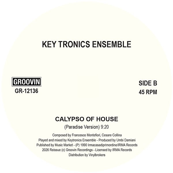 Lado B del vinilo Varios Artistas – What You Need / A Little Piano / Calypso Of House: lado B, Paradise Version y catálogo GR-12136.