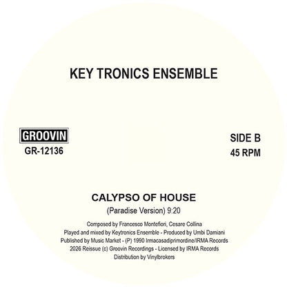 Lado B del vinilo Varios Artistas – What You Need / A Little Piano / Calypso Of House: lado B, Paradise Version y catálogo GR-12136.