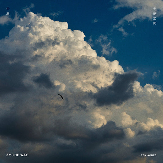 Contraportada del vinilo Zy The Way – Then and Now en 2xLP Jazzy Couscous con cielo nuboso y créditos mínimos en tipografía clara.